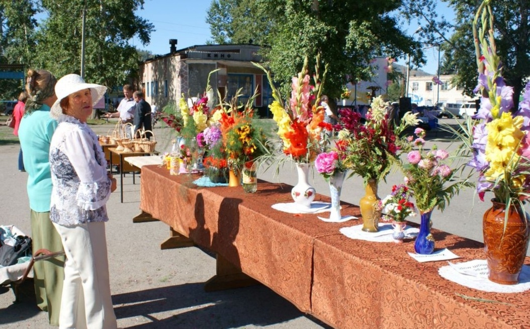 Культурная жизнь района