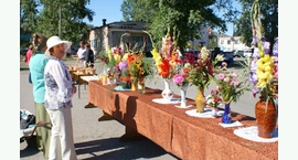 Культурная жизнь района