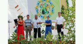 Культурная жизнь района
