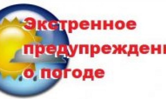 В Алтайском крае синоптики прогнозируют сильный снег и метели 