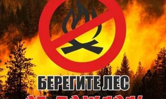 Установлено начало пожароопасного сезона в Алтайском крае