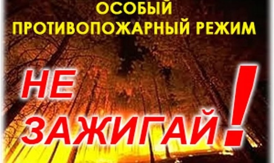 Введен особый противопожарный режим!