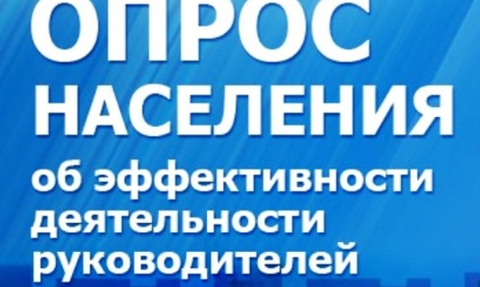 Жители Чарышского района приглашаются к участию в опросе с использованием IT-технологий