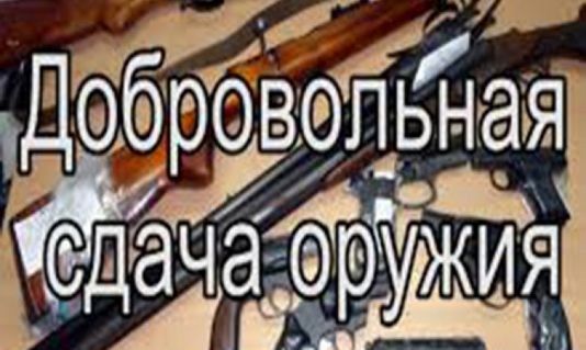 Порядок добровольной сдачи незаконно хранящегося оружия