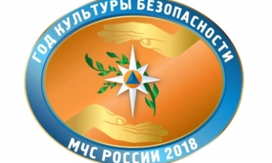 2018 год в России объявлен Годом культуры безопасности
