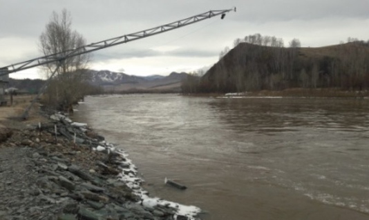 Уровень  воды в реке Чарыш  (Чарышский район)