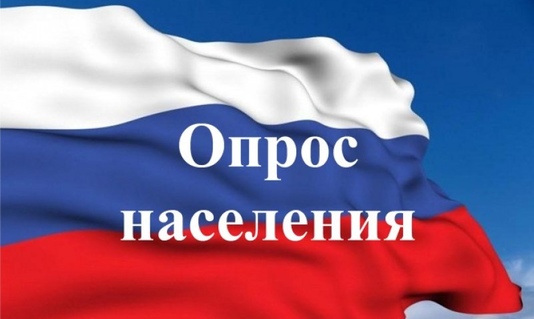 Жители Чарышского района приглашаются к участию в опросе с использованием IT-технологий