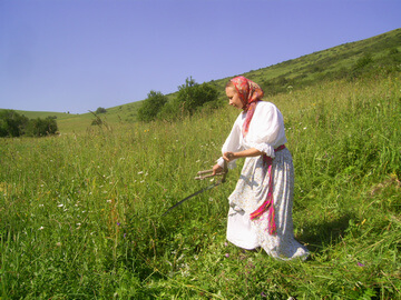 Межрегиональный праздник Петровки 13