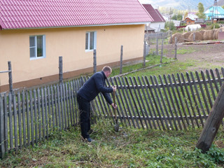 Чарышане приняли участие во Всероссийской экологической акции «Зеленая Россия»